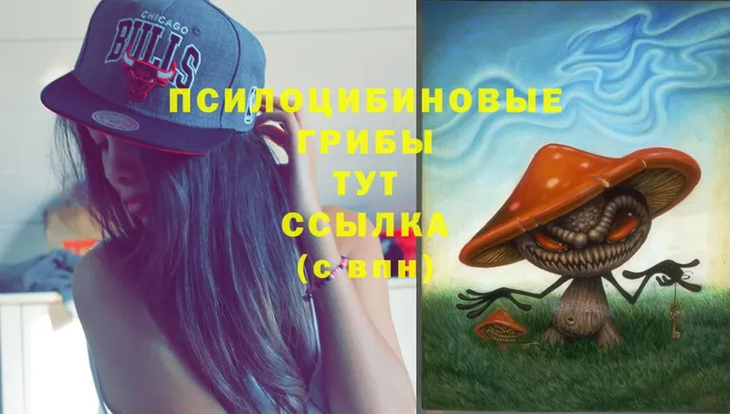 Галлюциногенные грибы Cubensis  Гагарин 